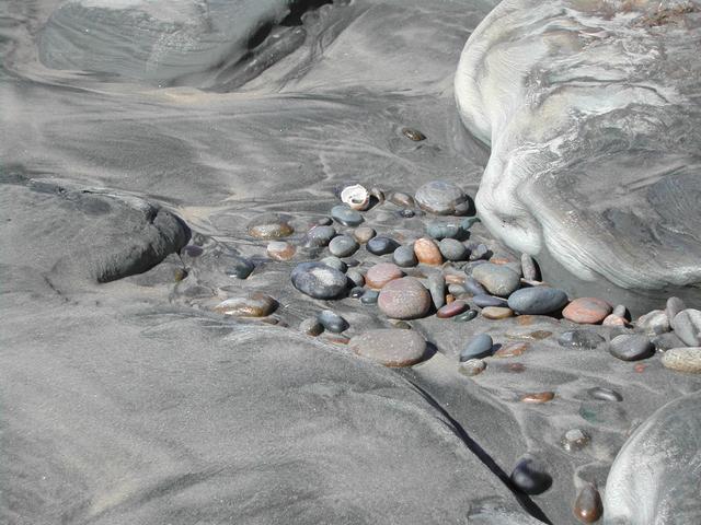 torrey pines state reserve - part ii