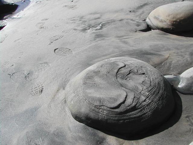 torrey pines state reserve - part ii