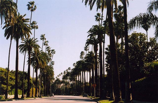 learning about exposure, focus and metering in malibu, venice beach, beverly hills