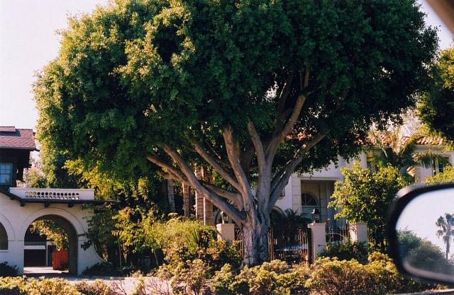 learning about exposure, focus and metering in malibu, venice beach, beverly hills