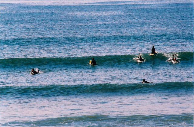 learning about exposure, focus and metering in malibu, venice beach, beverly hills