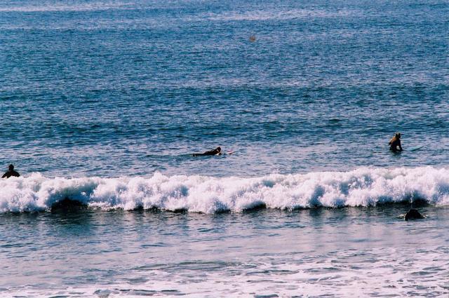 learning about exposure, focus and metering in malibu, venice beach, beverly hills