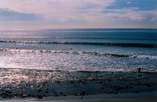 learning about exposure, focus and metering in malibu, venice beach, beverly hills