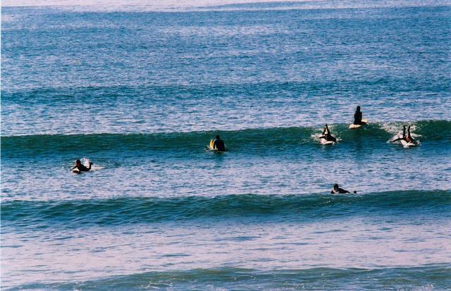 learning about exposure, focus and metering in malibu, venice beach, beverly hills