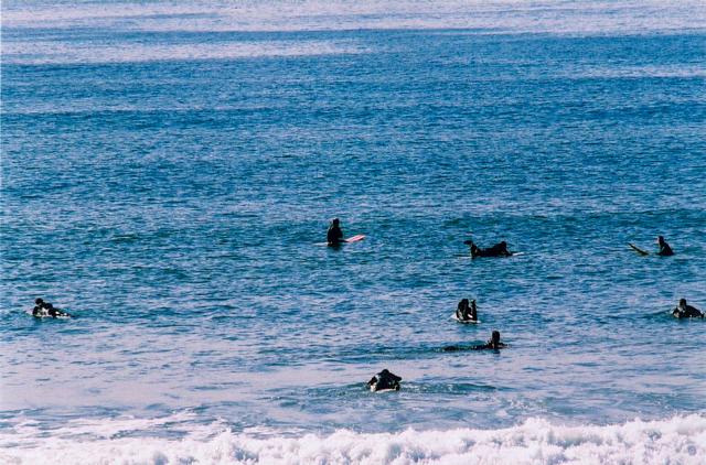 learning about exposure, focus and metering in malibu, venice beach, beverly hills