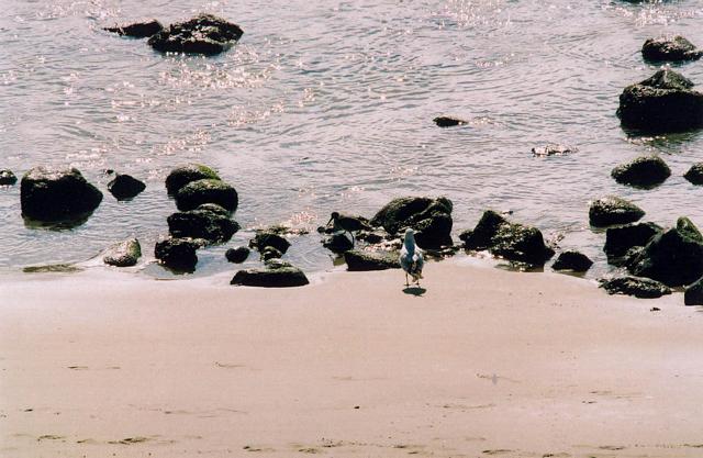 learning about exposure, focus and metering in malibu, venice beach, beverly hills