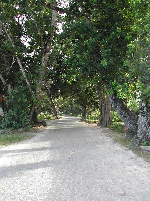 la digue island