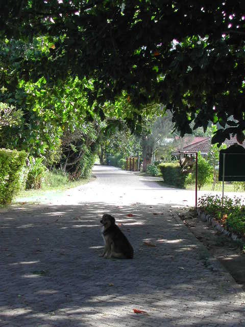 la digue island