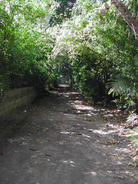 la digue island