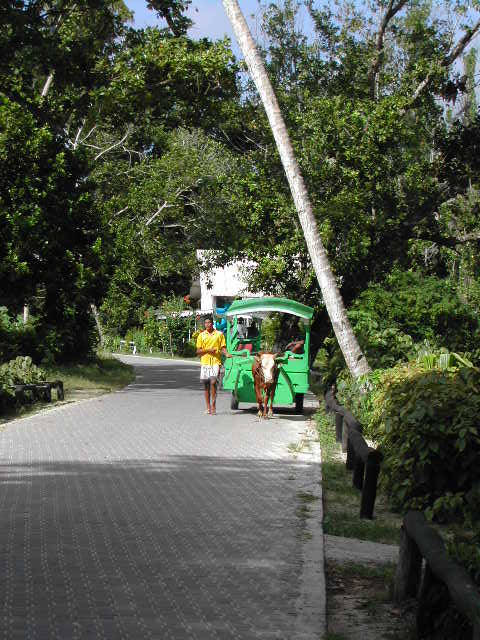 la digue island