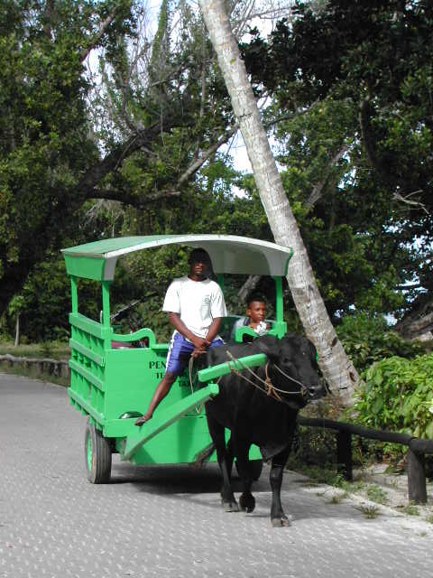 la digue island