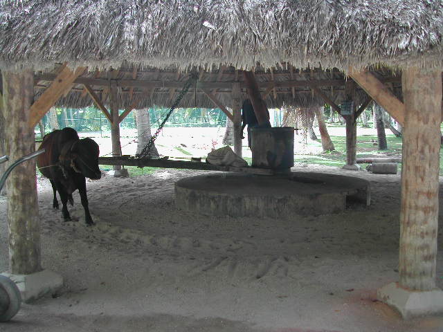 la digue island