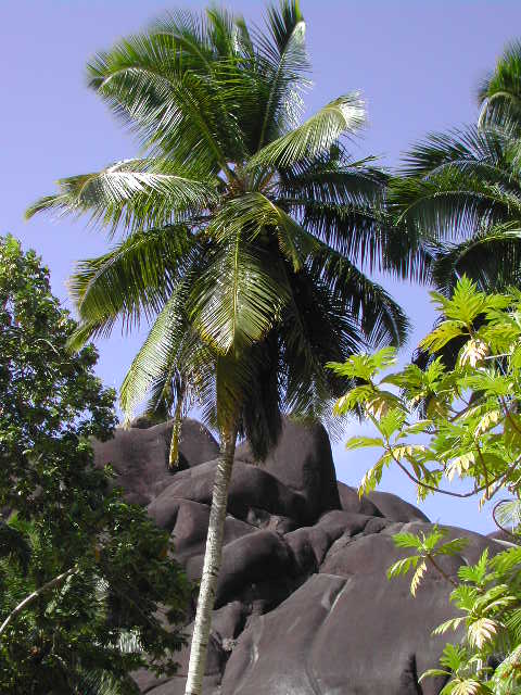 la digue island