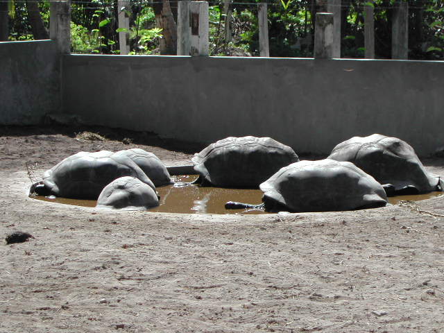 la digue island