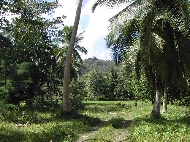 la digue island