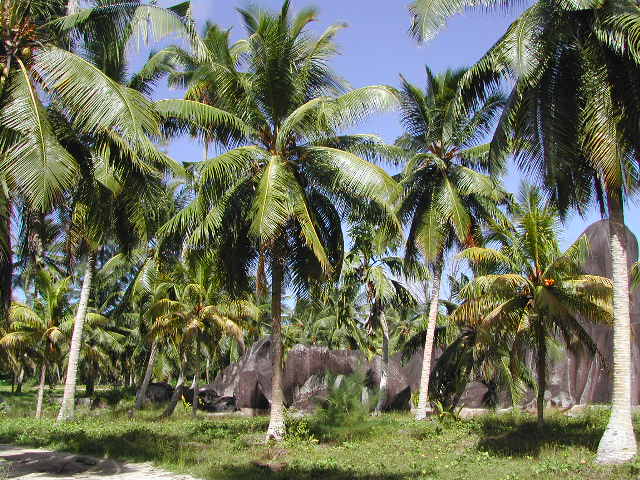 la digue island