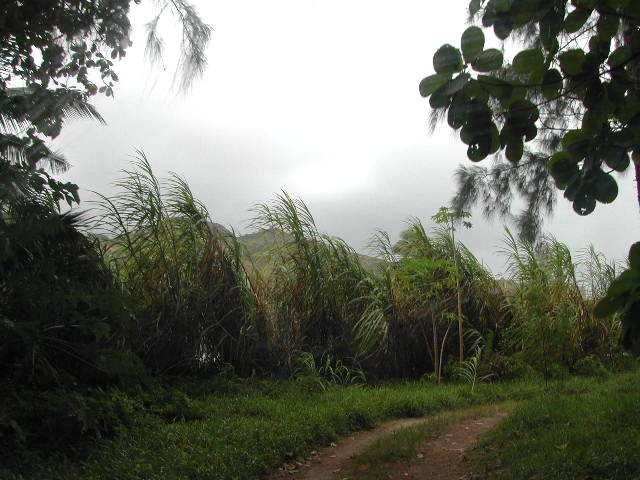 praslin island