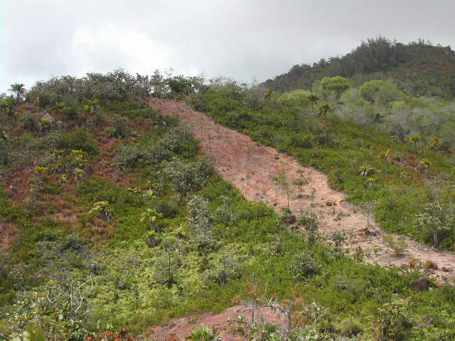 praslin island