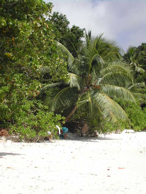 anse lazio