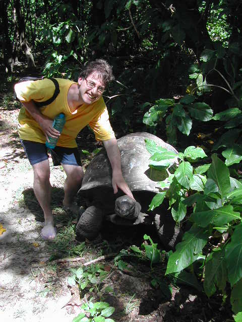 aldabra giant tortoise