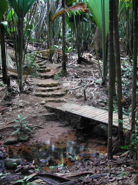 valee de mai