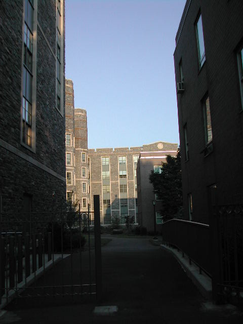 fordham campus