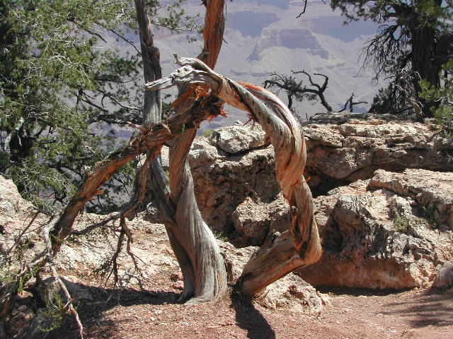 arizona - the grand canyon