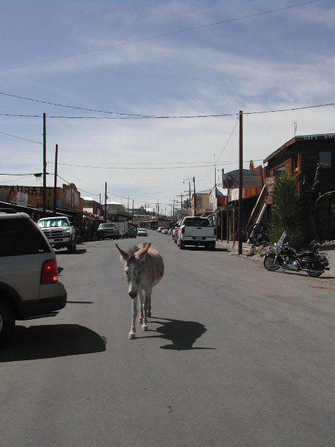 arizona - oatman ghost town