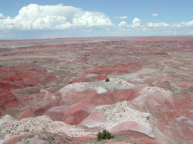 arizona - the painted desert