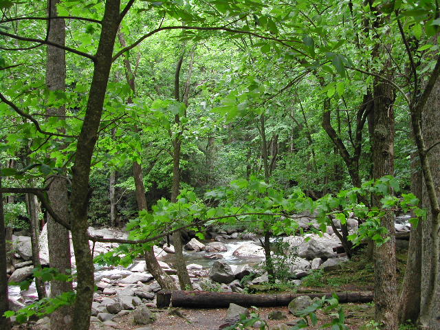 the blue ridge parkway