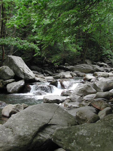 the blue ridge parkway