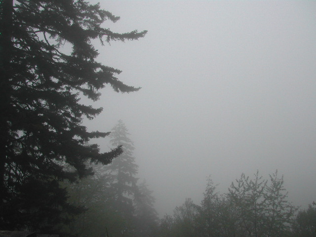 the blue ridge parkway