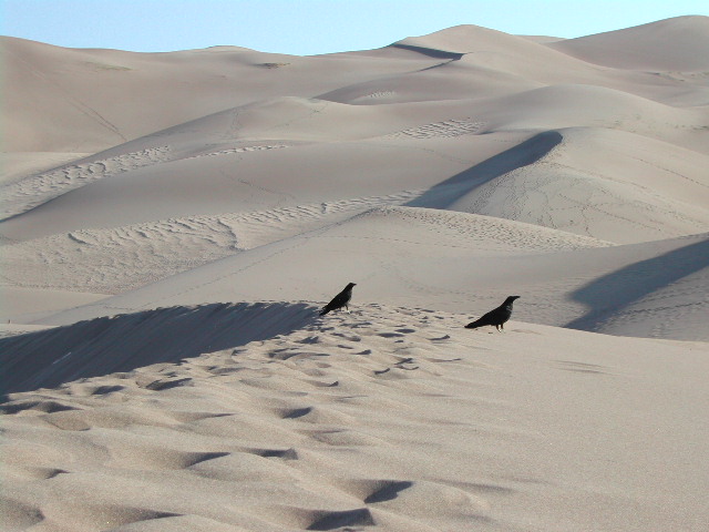 colorado - the great sand dunes