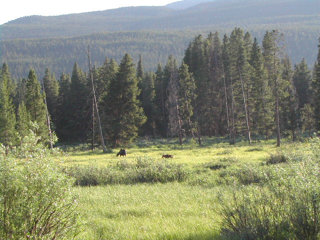 colorado - rocky mountain national park