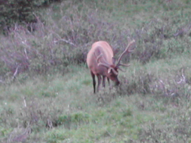 colorado - rocky mountain national park