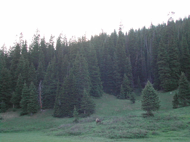 colorado - rocky mountain national park