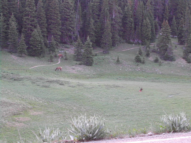 colorado - rocky mountain national park