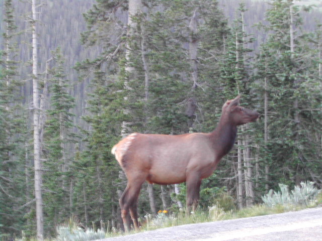 colorado - rocky mountain national park