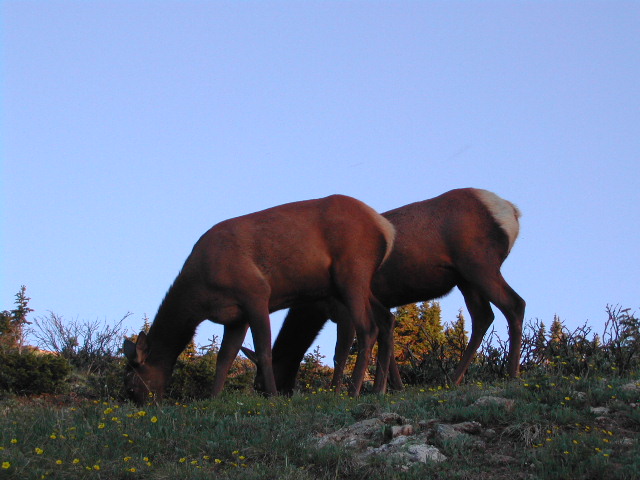 colorado - rocky mountain national park