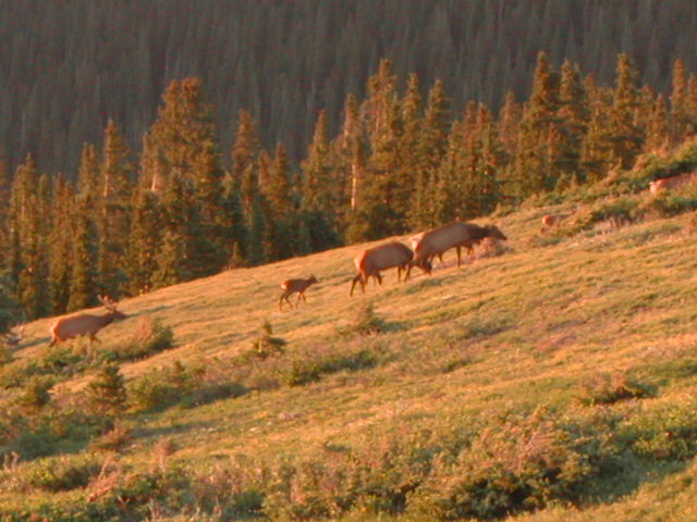 colorado - rocky mountain national park