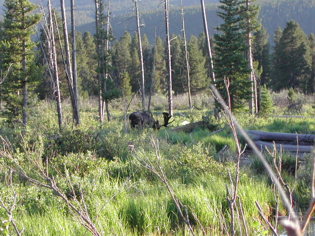 colorado - rocky mountain national park