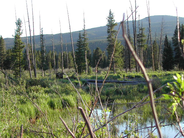 colorado - rocky mountain national park