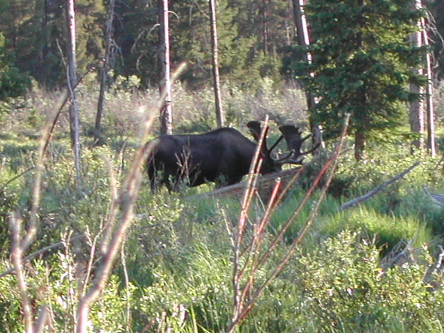 colorado - rocky mountain national park