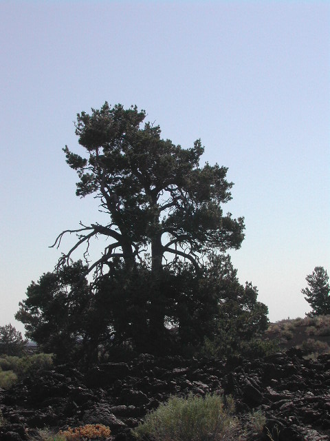 idaho - craters of the moon