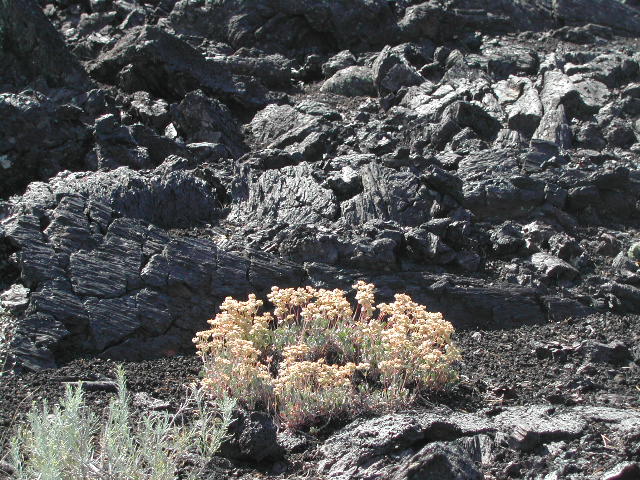 idaho - craters of the moon