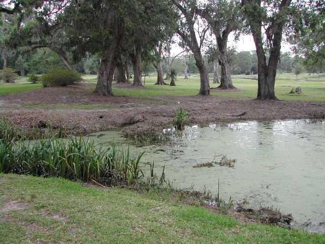 louisiana - jungle gardens