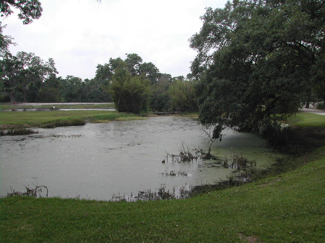 louisiana - jungle gardens