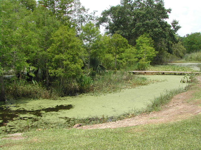 louisiana - jungle gardens