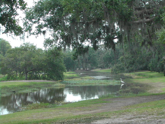 louisiana - jungle gardens