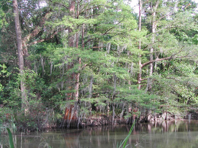 louisiana - on the road